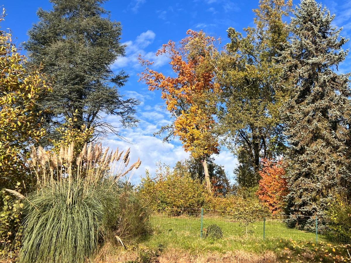 Domaine Le Manoir, Gites De Charme Et De Caractere Avec Piscines Privatisees Et Spa Nordique Fossemagne 外观 照片