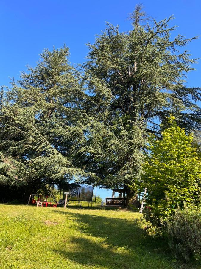Domaine Le Manoir, Gites De Charme Et De Caractere Avec Piscines Privatisees Et Spa Nordique Fossemagne 外观 照片